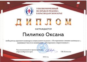 Диплом Пилипко
